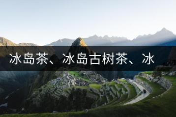 冰島茶、冰島古樹茶、冰島茶區(qū)茶、冰島茶區(qū)古樹茶