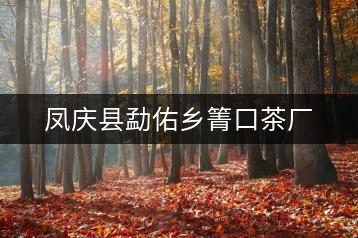 鳳慶縣勐佑鄉(xiāng)箐口茶廠