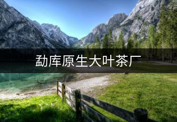 勐庫原生大葉茶廠