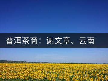 普洱茶商：謝文章、云南谷申商貿(mào)有限公司總經(jīng)理