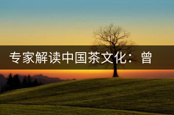 專(zhuān)家解讀中國(guó)茶文化:曾征服征服沙皇