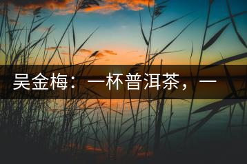 吳金梅：一杯普洱茶，一份云南情