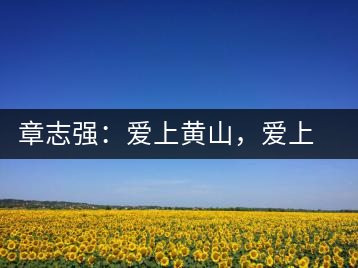 章志強：愛上黃山，愛上黃山的茶