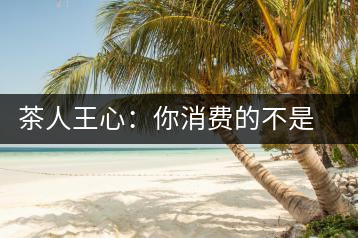 茶人王心：你消費(fèi)的不是茶，是我