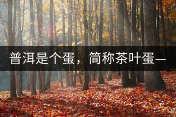 普洱是個(gè)蛋，簡(jiǎn)稱(chēng)茶葉蛋——楊鎮(zhèn)瑜訪(fǎng)談錄