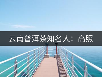 云南普洱茶知名人:高照