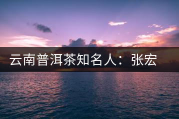 云南普洱茶知名人:張宏達(dá)