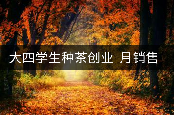 大四學生種茶創(chuàng)業(yè)  月銷售額超五十萬