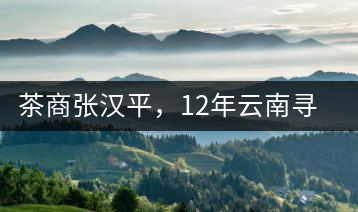 茶商張漢平，12年云南尋茶路