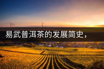 易武普洱茶的發(fā)展簡史，昔日的貢茶如今依然輝煌