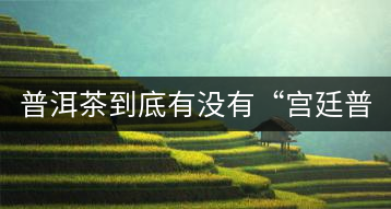 普洱茶到底有沒有“宮廷普洱”一說？它到底是什么？