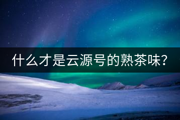 什么才是云源號(hào)的熟茶味？