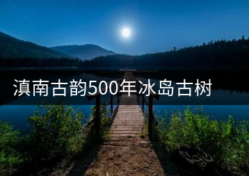 滇南古韻500年冰島古樹生茶官方評(píng)測(cè)