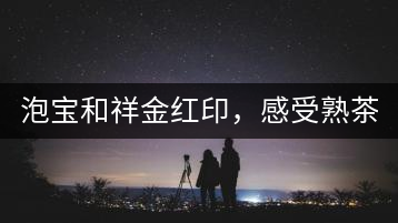 泡寶和祥金紅印，感受熟茶之美。