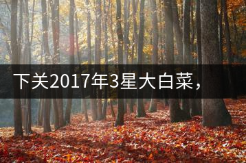 下關(guān)2017年3星大白菜，好茶從未中斷