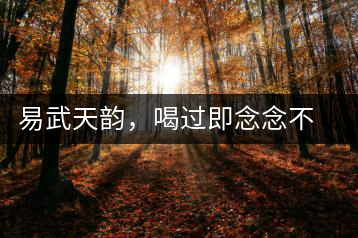 易武天韻，喝過即念念不忘的茶中皇后