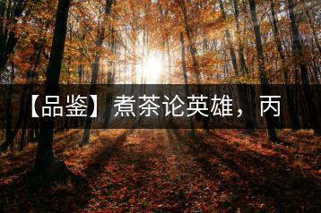 【品鑒】煮茶論英雄，丙申年易武麻黑