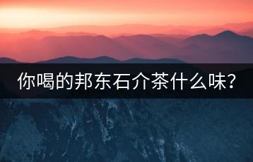 你喝的邦東石介茶什么味？