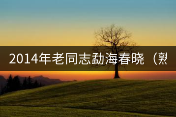2014年老同志勐海春曉（熟餅）