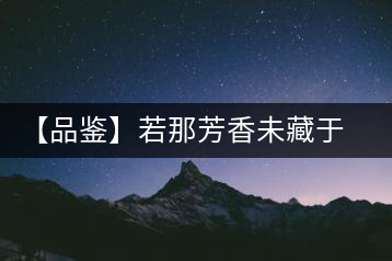 【品鑒】若那芳香未藏于樟野，怎會這般獨具韻味？