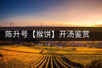 陳升號(hào)【猴餅】開湯鑒賞篇：沖泡【猴餅】有哪些需要注意的