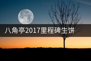 八角亭2017里程碑生餅，擁抱半個世紀的情懷