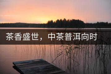 茶香盛世，中茶普洱向時(shí)代獻(xiàn)禮