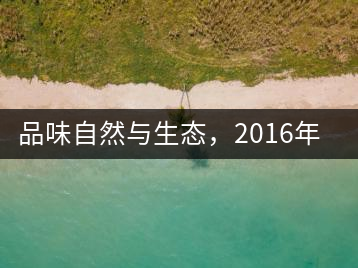 品味自然與生態(tài)，2016年勐傣“大雪山古樹茶”