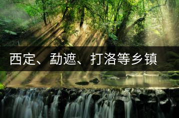 西定、勐遮、打洛等鄉(xiāng)鎮(zhèn)古茶樹資源