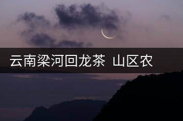 云南梁河回龍茶  山區(qū)農民增收的富民產業(yè)
