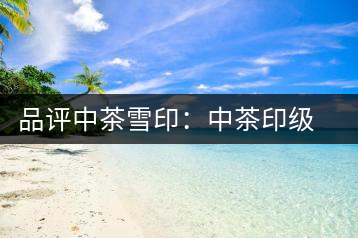 品評(píng)中茶雪?。褐胁栌〖?jí)茶的經(jīng)典傳承