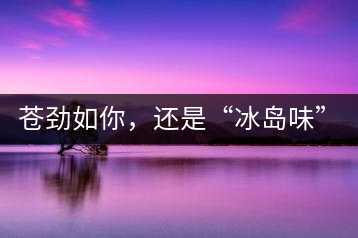 蒼勁如你，還是“冰島味”嗎？