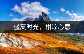 盛夏時(shí)光，柑涼心意