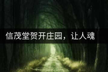 信茂堂賀開莊園，讓人魂牽夢繞的名山古樹茶