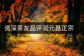 資深茶友品評潤元昌正宗地道柑普茶