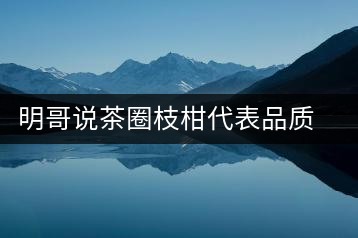 明哥說茶圈枝柑代表品質(zhì)高點，是玩家級的產(chǎn)品