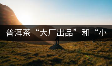 普洱茶“大廠出品”和“小作坊”，哪一個更值得購買？