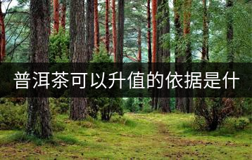 普洱茶可以升值的依據(jù)是什么？
