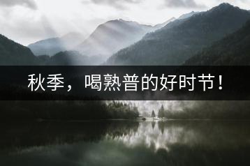 秋季，喝熟普的好時節(jié)！