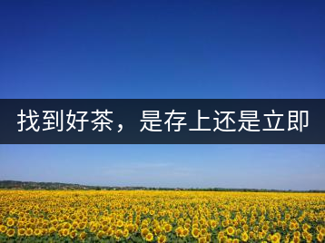 找到好茶，是存上還是立即品飲？