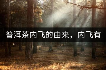 普洱茶內(nèi)飛的由來，內(nèi)飛有什么作用？