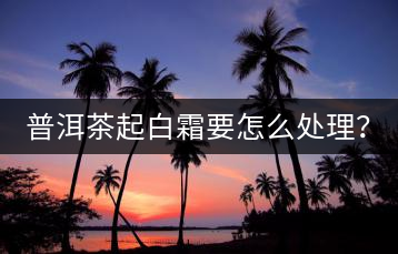 普洱茶起白霜要怎么處理？
