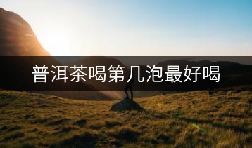 普洱茶喝第幾泡最好喝