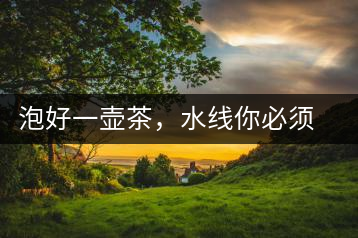 泡好一壺茶，水線你必須了解