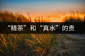 “精茶”和“真水”的貴族茶道