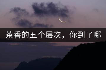 茶香的五個層次，你到了哪一層？