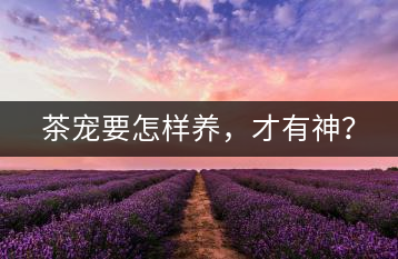 茶寵要怎樣養(yǎng)，才有神？
