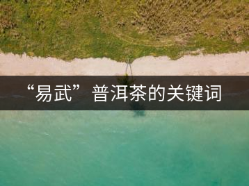 “易武”普洱茶的關(guān)鍵詞