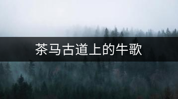 茶馬古道上的牛歌