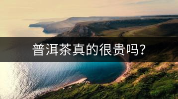 普洱茶真的很貴嗎？